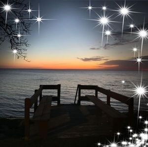 Meet your Posher, Bridget